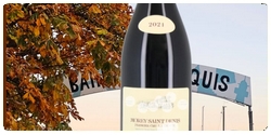 Le Morey-Saint-Denis 2021